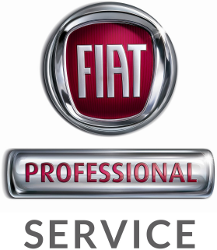 Fiat Professional Service